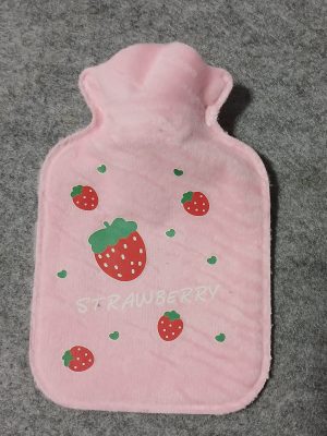 کیسه ابگرم نمدی طرح حیوانات