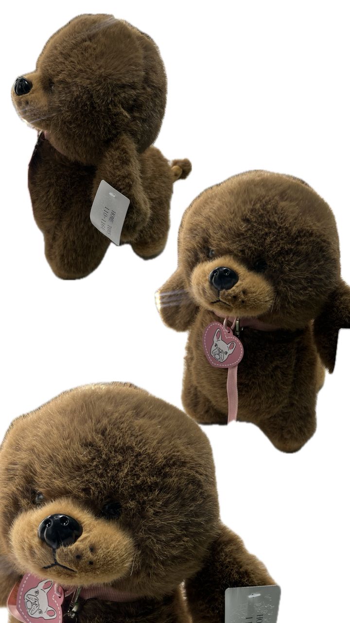 WhatsApp Image 2025-11-18 at 11.20.54_0836fa16