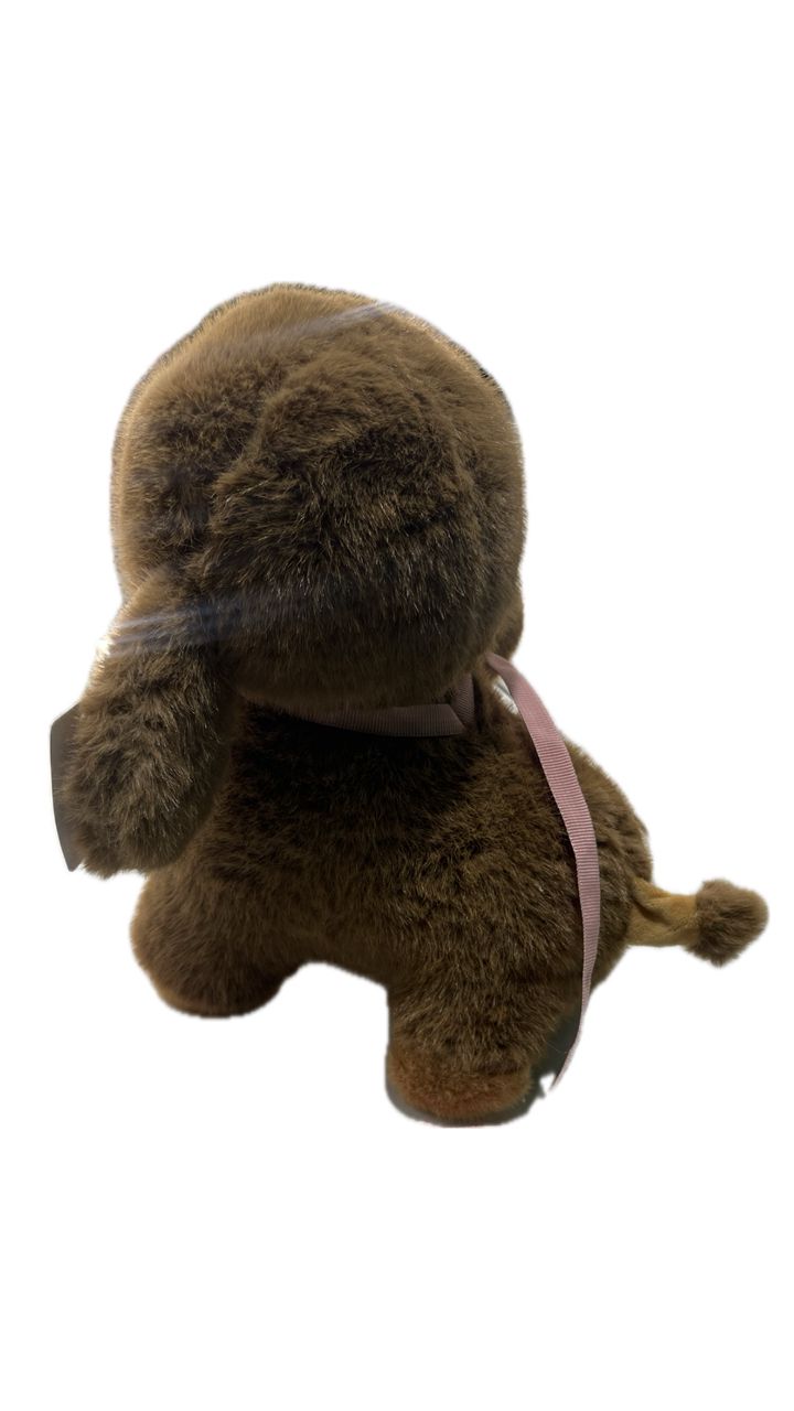 WhatsApp Image 2025-11-18 at 11.20.54_e91aaf65