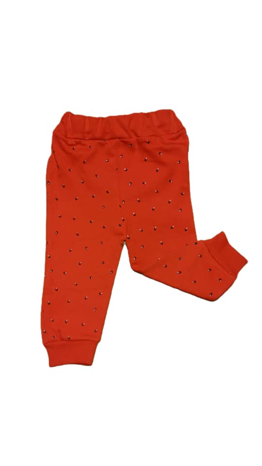 WhatsApp Image 2025-12-05 at 12.22.39_de2a2893